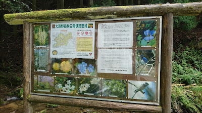 大原野森林公園-ポンポン山 사진 3