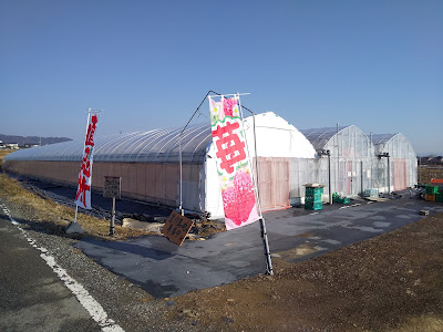 みつばちBun Bun クロスケの大原野げんき畑 사진 5