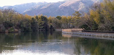 大蛇ヶ池 사진 2
