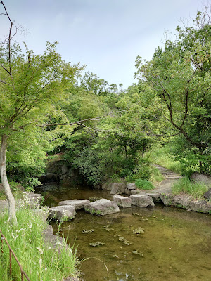 大蛇ヶ池 사진 5