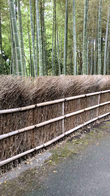 竹の径 사진 2