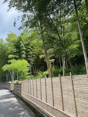 竹の径 사진 3