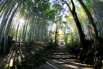 Jizoji 사진 5