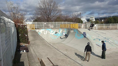 Hiuchigata Koen Skate Board Park 사진 2