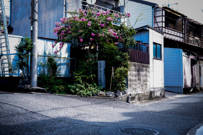 史蹟南天塚の跡