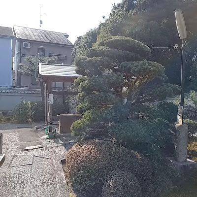 가상사 사진 2