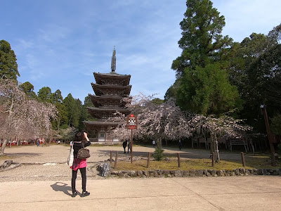Gojunoto (Five Story Pagoda) 사진 2