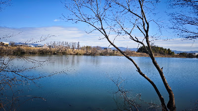 Kuzebashi-nishizume Park 사진 3