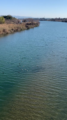 Kuzebashi-nishizume Park 사진 2