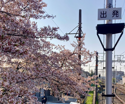 阪急上桂駅「桜の出発点」