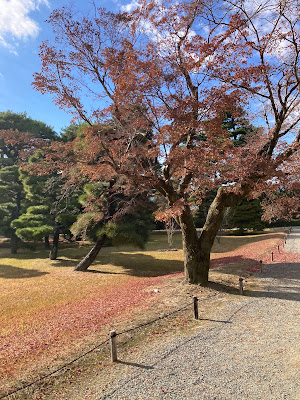 桂離宮 見学者受付所