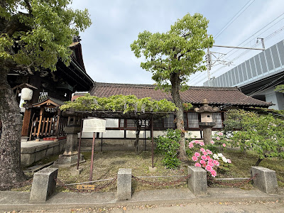 六孫王神社の藤棚 사진 3