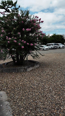 蓮如上人像 사진 2