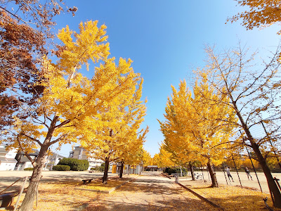 Kami-Katsura Park