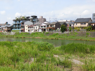 花の回廊（鴨川東岸：三条～七条） 사진 2