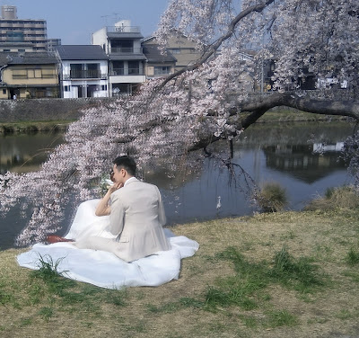 花の回廊（鴨川東岸：三条～七条） 사진 3