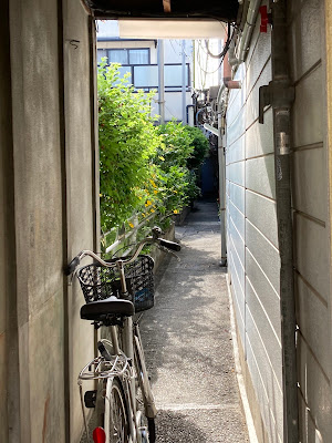 南天路地 사진 4