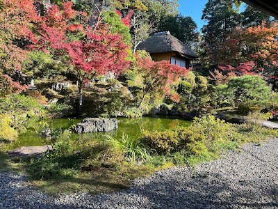 Tea ceremony SAKAGUCHIAN（茶道体験 阪口庵) 사진 3