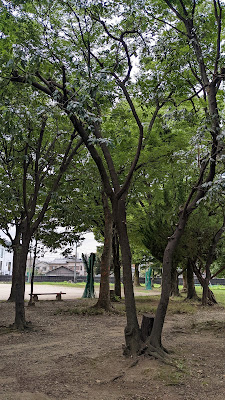 Kadono Children's Park 사진 3