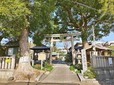 山王楠