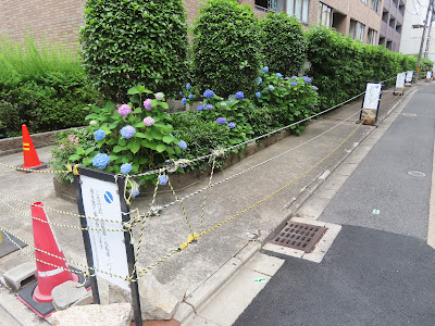 撞木辻子通り 사진 4
