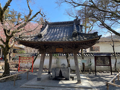 gion一穂 사진 4