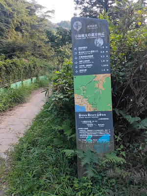 고제키고에 고개 사진 4