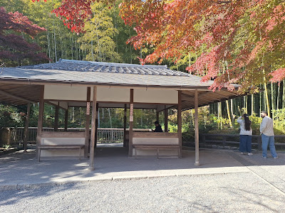 Mirador al bosque de bambú 사진 3