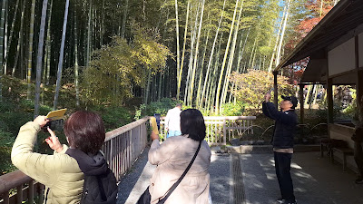 Mirador al bosque de bambú 사진 2