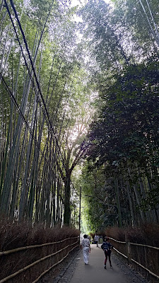 Sagano Bamboo Grove 사진 3