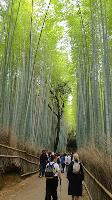 Sagano Bamboo Forest 사진 2