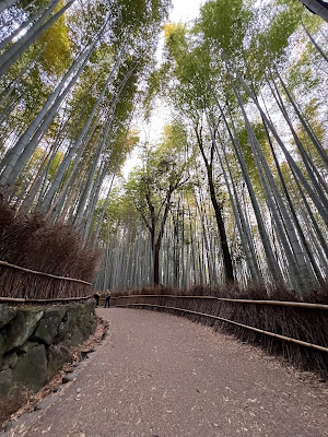 travel quiz spot touristship ツーリストシップ京都 旅先クイズ嵐山ブース 사진 5