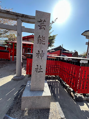 Keisen Sakura