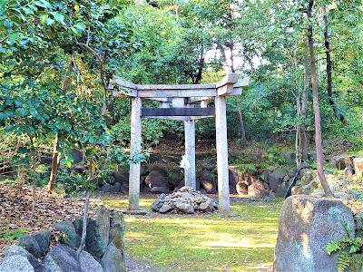 Moto-Tadasu no Mori