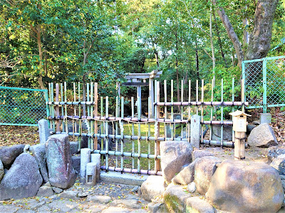 Moto-Tadasu no Mori 사진 4