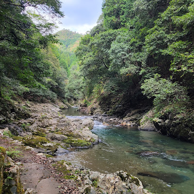 Kyoto Prefectural Hozukyo Natural Park 사진 3
