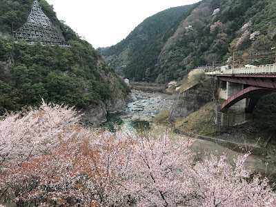 Kyoto Prefectural Hozukyo Natural Park 사진 5