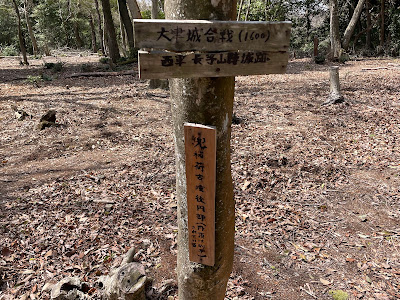 Mt. Nagara Trig Point 사진 5