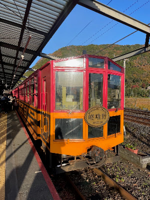 사가노 관광철도 도롯코 열차 사진 3