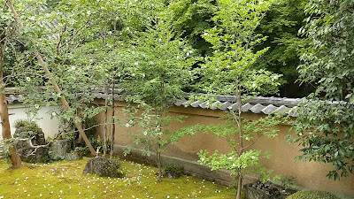 동림원 사진 2