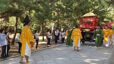요고노마쓰 소나무 사진 2