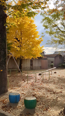 Nakamura Park 사진 2