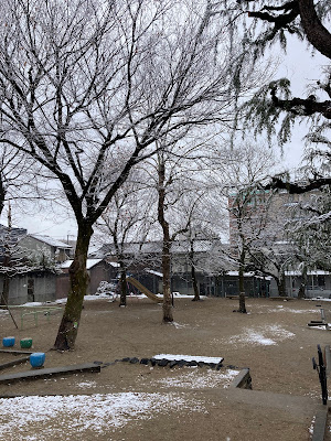 Nakamura Park 사진 3
