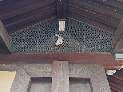 사루가쓰지 사진 5