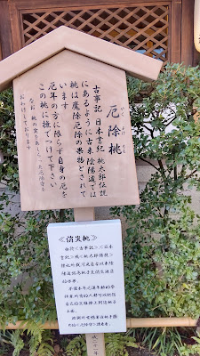 Seimei Shrine Yakuyoke Peach 사진 5