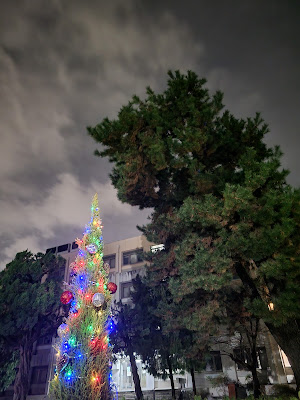 中庭のクリスマスツリー 사진 2
