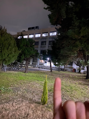 中庭のクリスマスツリー 사진 4