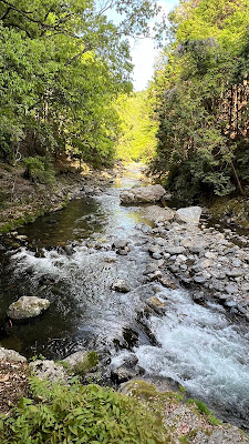清滝川遊び場所