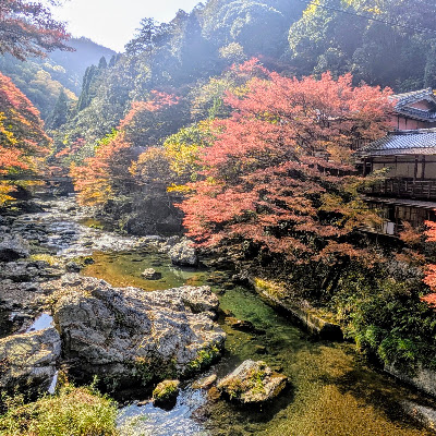 清滝川遊び場所 사진 3