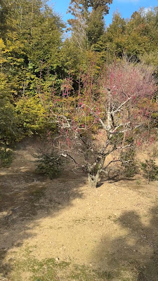 류몬노 다키 사진 3